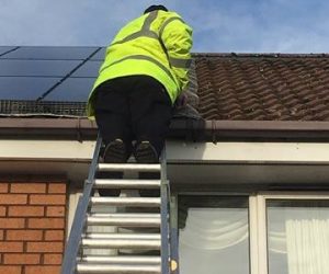Solar Panel Bird Proofing Renfrewshire