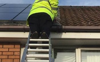 Solar Panel Bird Proofing Renfrewshire
