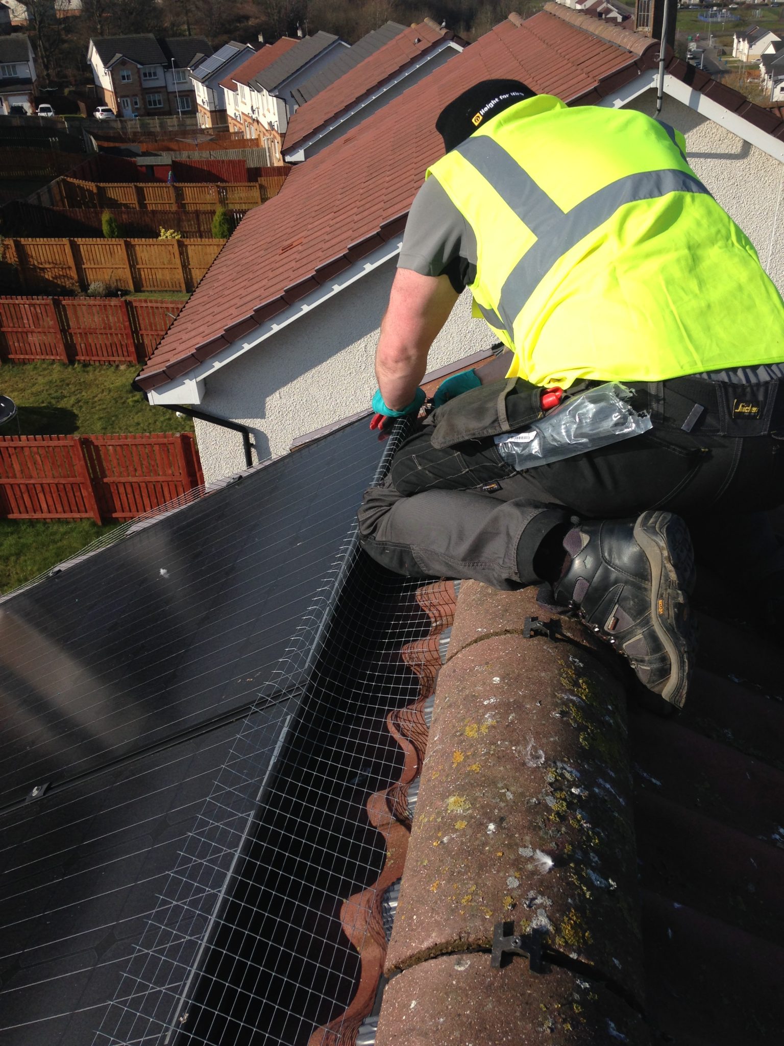 Solar Panel Bird Proofing Lanarkshire