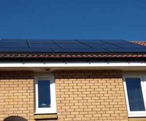 Solar Panel Bird Proofing Bute and Arran